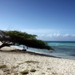 aruba