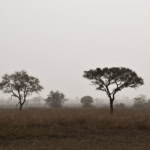 benin